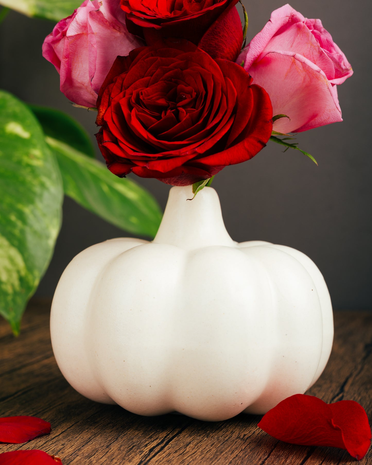 Pumpkin Curve Planter Vase