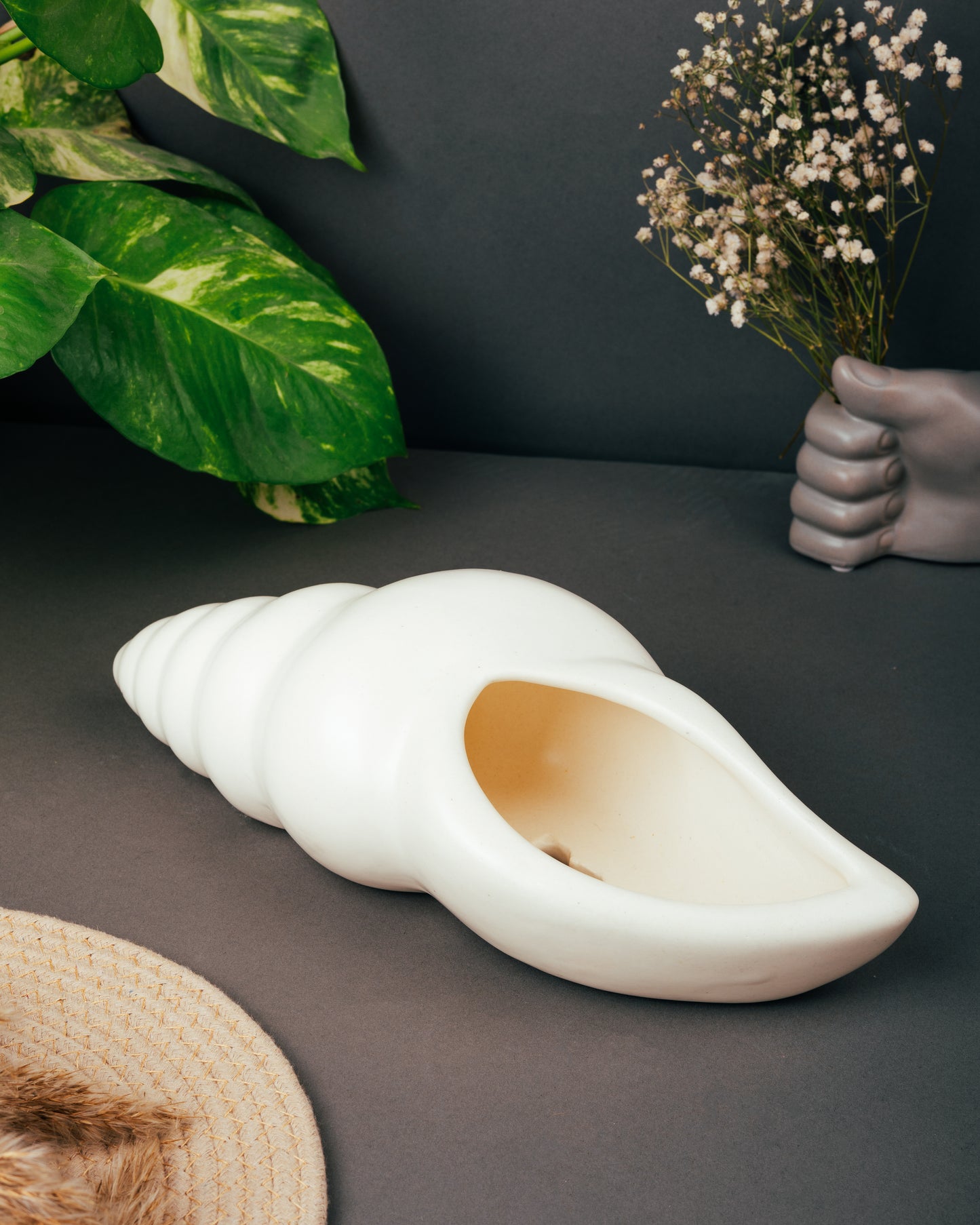 Conch Curve Planter Vase