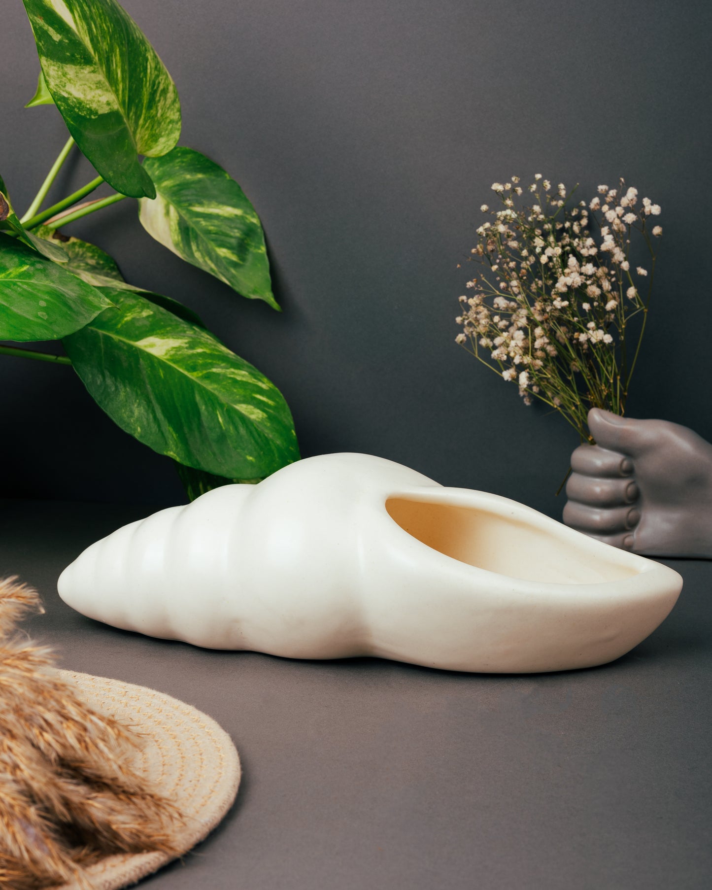 Conch Curve Planter Vase