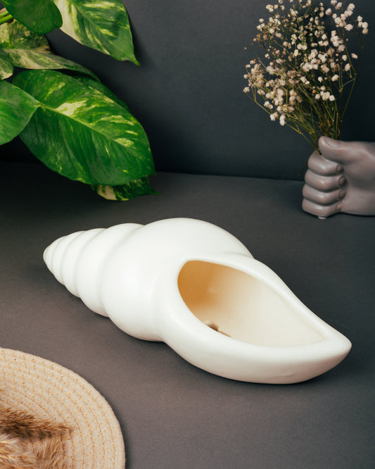 Conch Curve Planter Vase